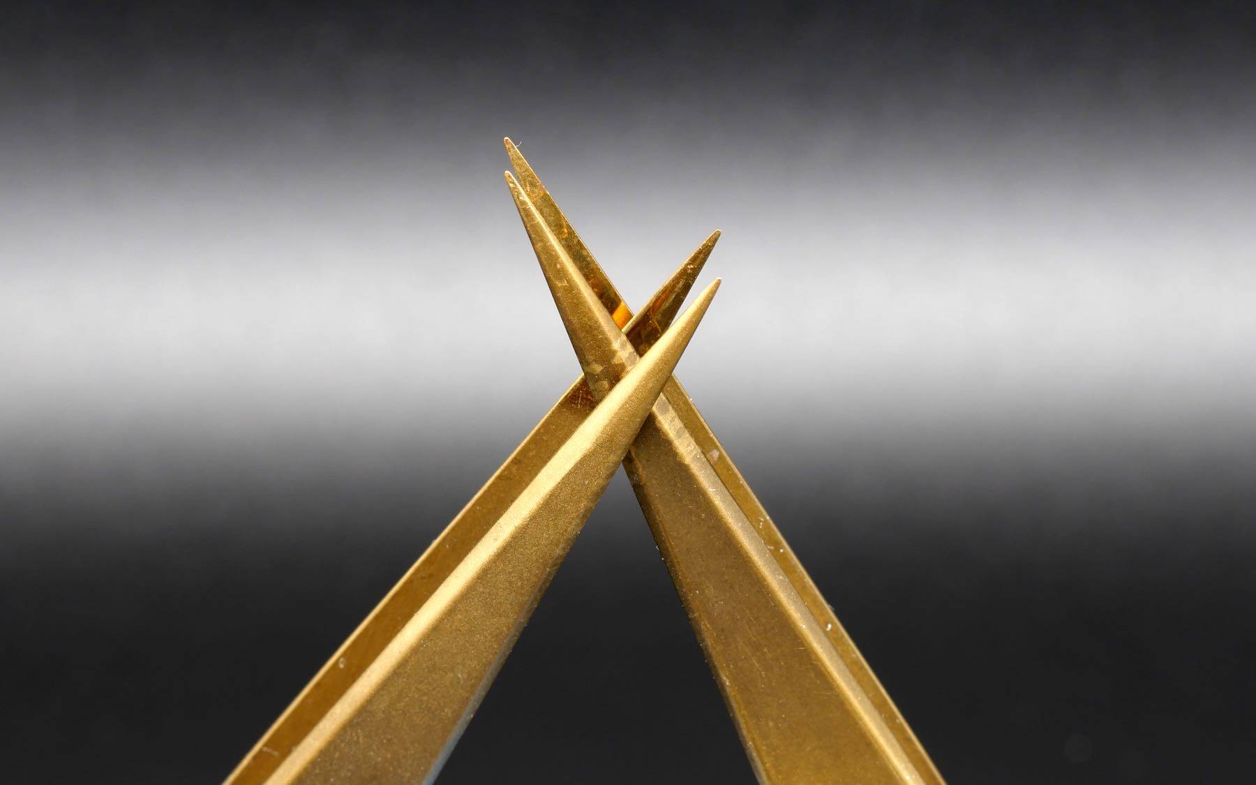 Zwei Kornzangen berühren sich